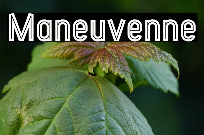 Maneuver Inline Example 2