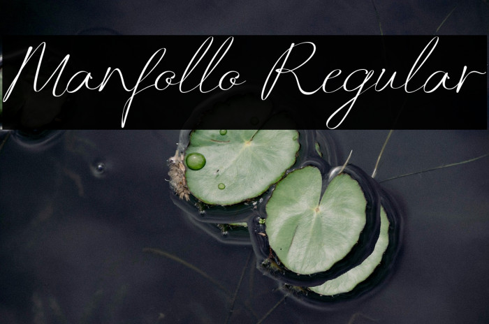 Manfollo Regular Example 1