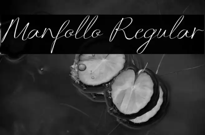 Manfollo Regular Example 1