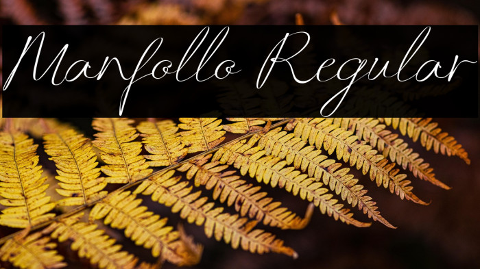 Manfollo Regular Example 2
