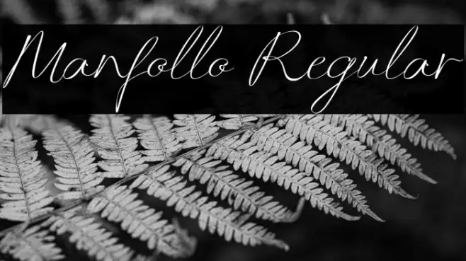 Manfollo Regular Example 2