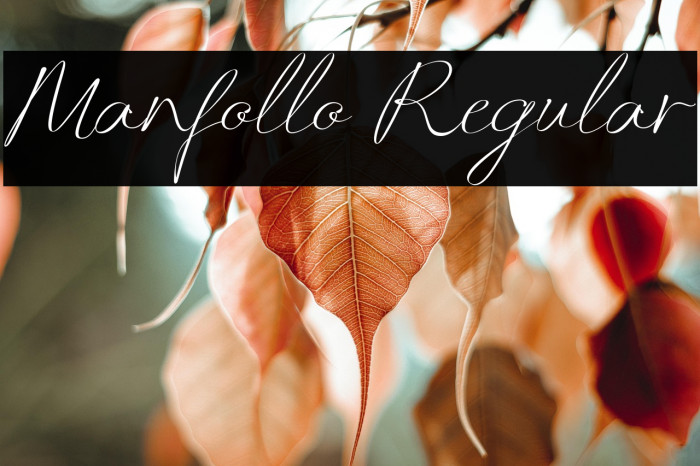 Manfollo Regular Example 3