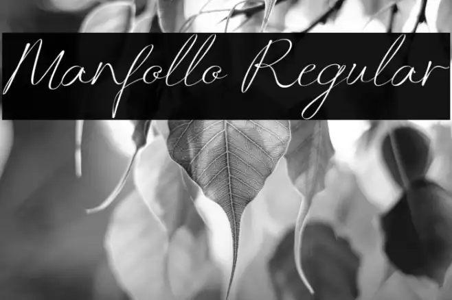 Manfollo Regular Example 3