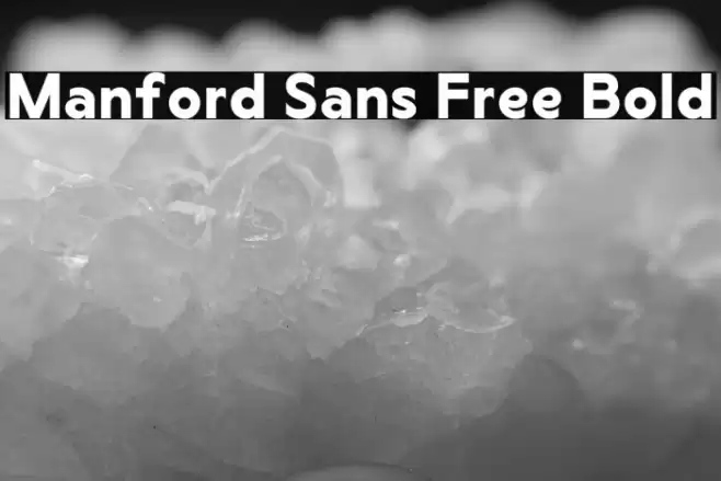 Manford Sans Free Bold Font examples