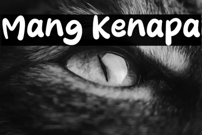 Mang Kenapa Font examples