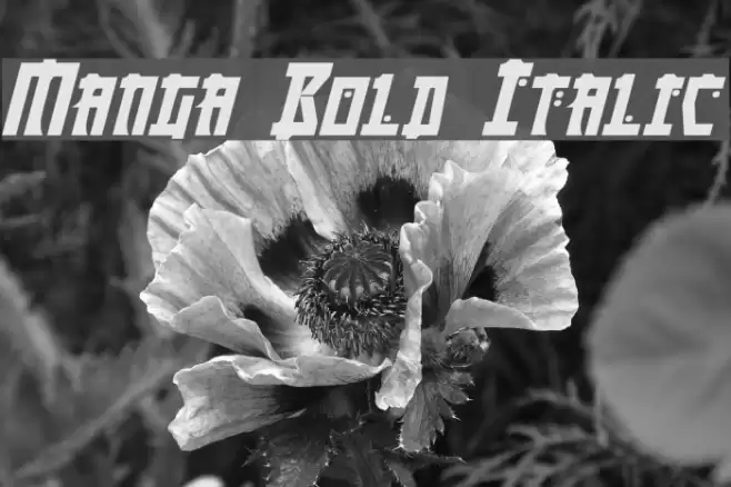 Manga Bold Italic Font examples