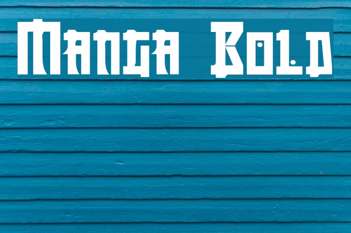 Manga Bold Example 2