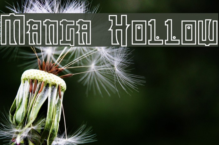 Manga Hollow Font examples