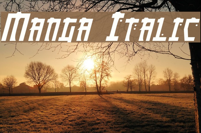 Manga Italic Font examples