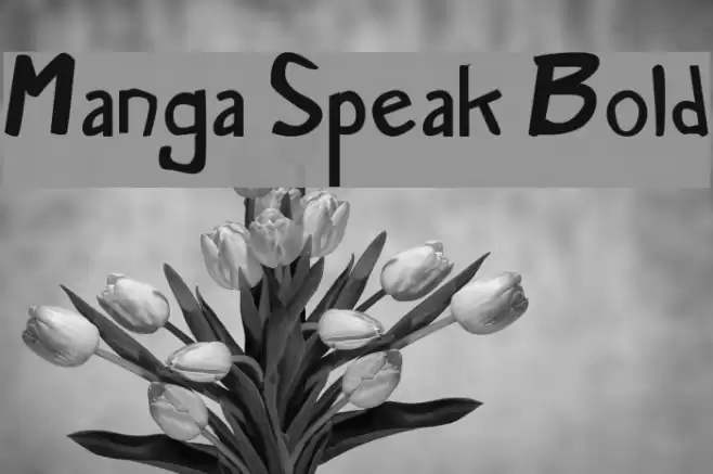 Manga Speak Bold Font examples