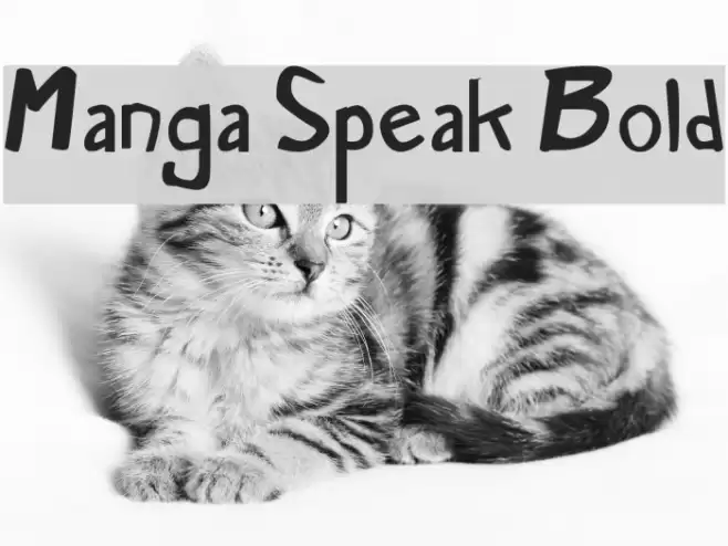 Manga Speak Bold Font examples