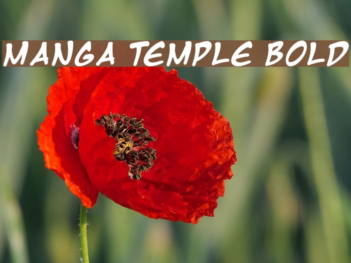 Manga Temple Bold Font examples