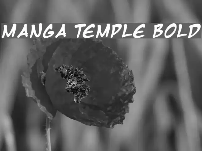 Manga Temple Bold Example 1