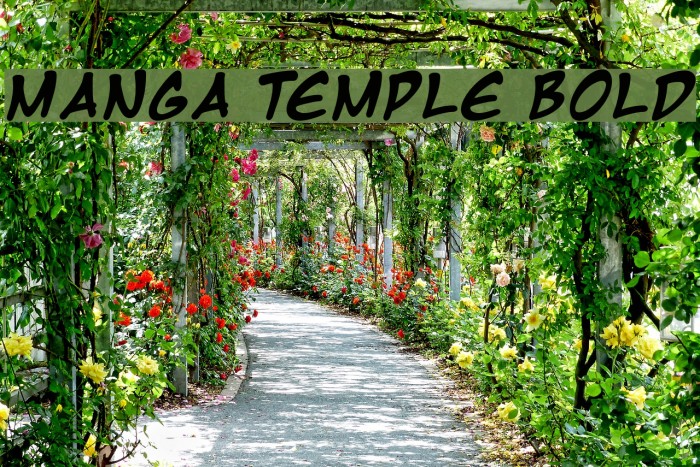 Manga Temple Bold Font examples