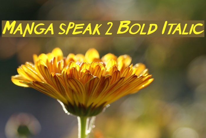 Manga speak 2 Bold Italic Example 1