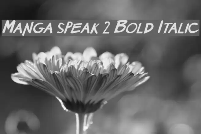 Manga speak 2 Bold Italic Font examples