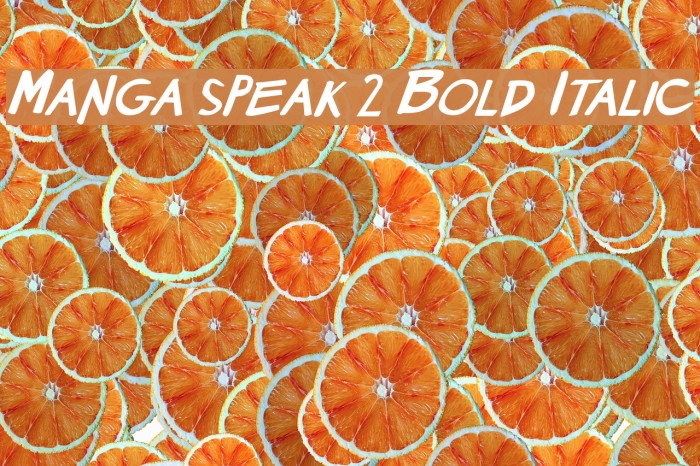 Manga speak 2 Bold Italic Example 3