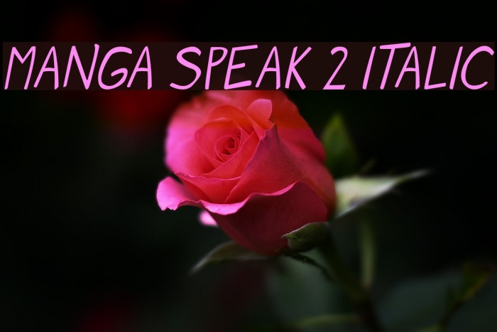 Manga speak 2 Italic Font examples