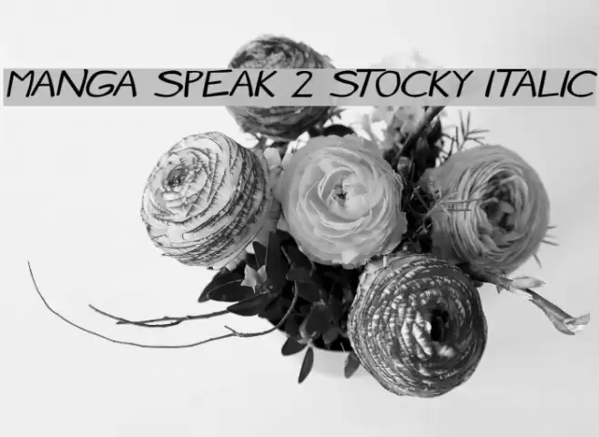 Manga speak 2 stocky Italic Font examples