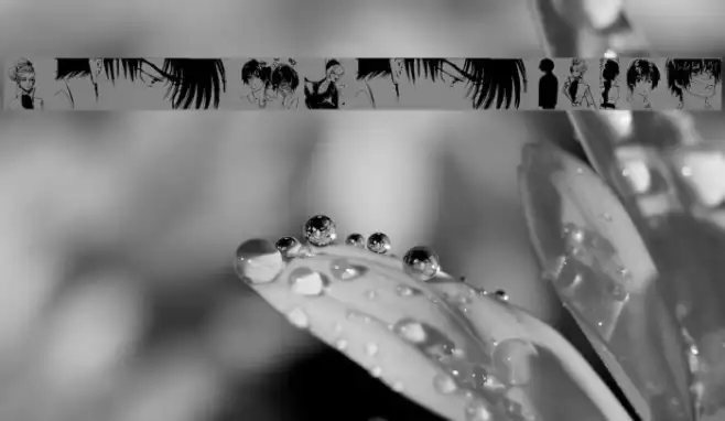 MangaTypes Example 1