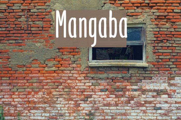 Mangaba Example 2