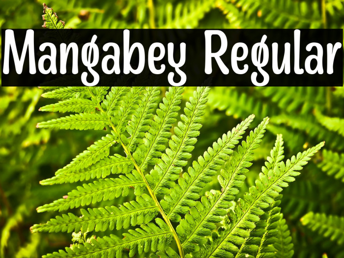 Mangabey Regular Example 1