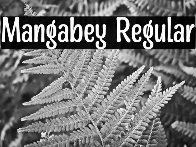 Mangabey Regular Example 1