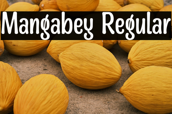 Mangabey Regular Example 2