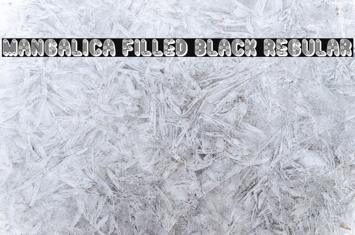 Mangalica Filled Black Regular Font examples