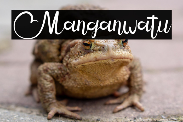 Manganwatu Example 2