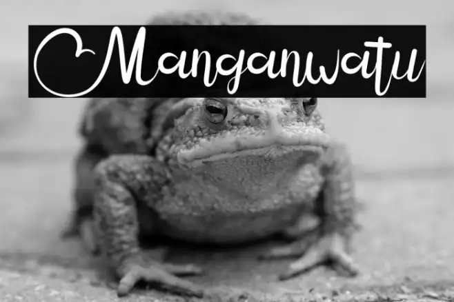 Manganwatu Example 2