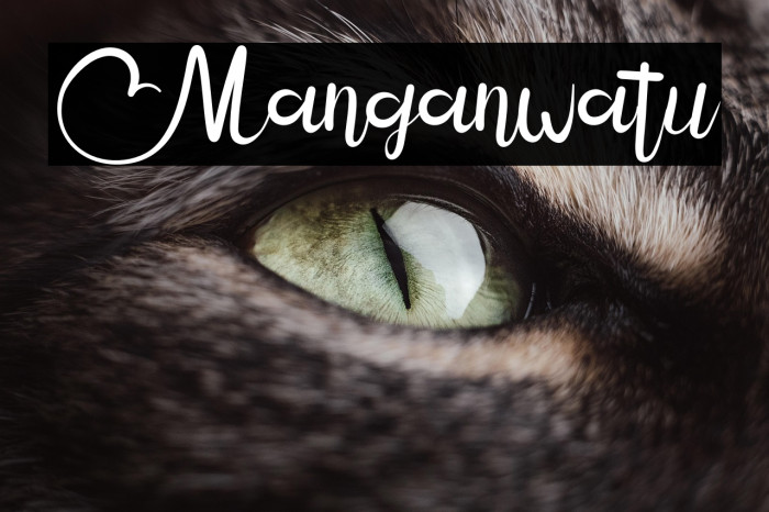 Manganwatu Example 3