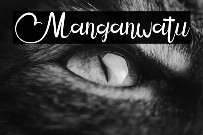 Manganwatu Example 3