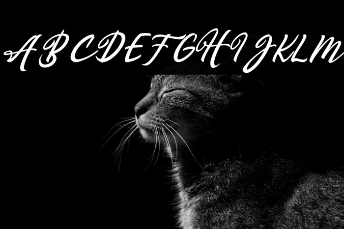 Manggala Italic Example 3