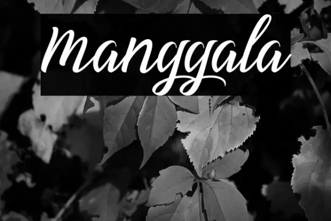 Manggala Font examples