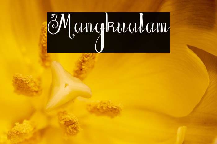 Mangkualam Example 2