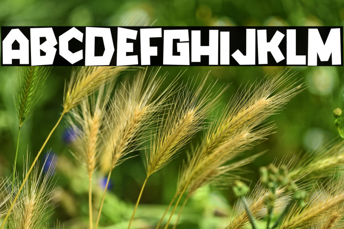 Mango Days Example 2