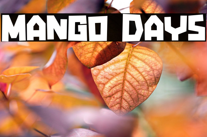 Mango Days Example 1