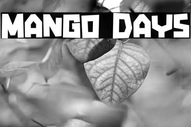Mango Days Font examples