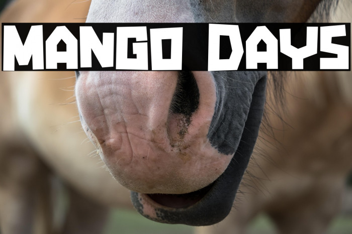 Mango Days Example 3