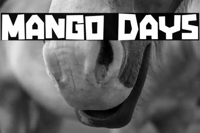 Mango Days Font examples