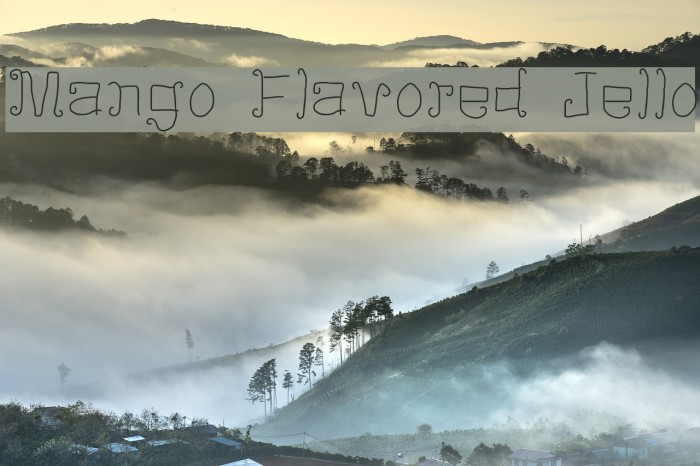 Mango Flavored Jello Example 2