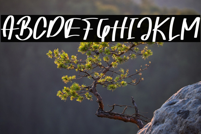 Mango Juice Example 2