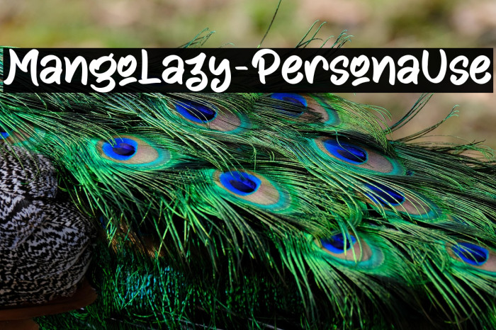 Mango Lazy - Personal Use Example 1