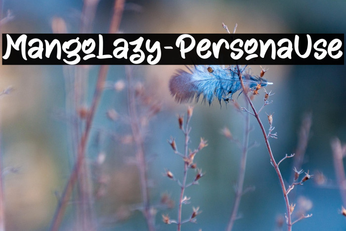 Mango Lazy - Personal Use Example 2