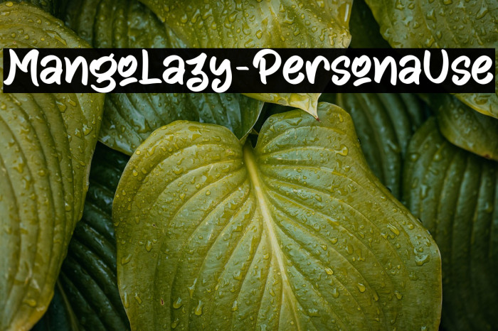 Mango Lazy - Personal Use Example 3