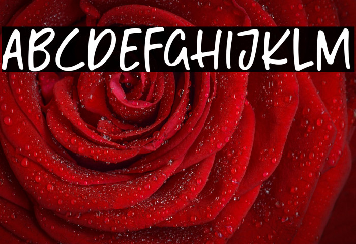 Mango Mingle Example 2