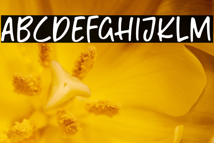 Mango Mingle Example 3