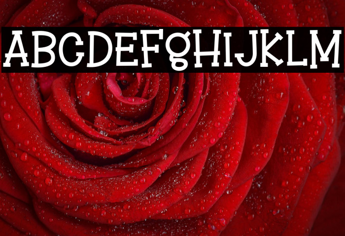 Mango Nice Example 2