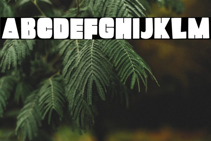 Mango Pudding Example 1